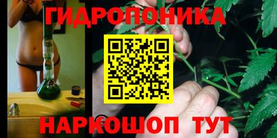 стаф Волжск